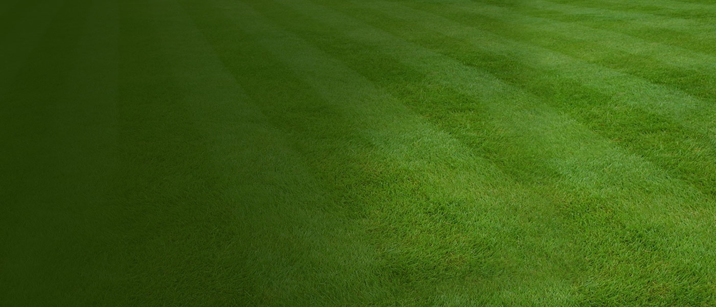 Car &amp; Life Insurance Company in Allentown, PA D.E